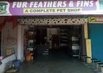 Fur-Feather-Fins-Shopping-Pet-stores-Korba-Chhattisgarh