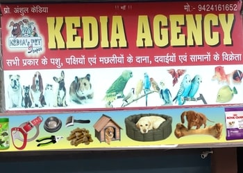 KEDIA-S-AGENCY-Shopping-Pet-stores-Korba-Chhattisgarh