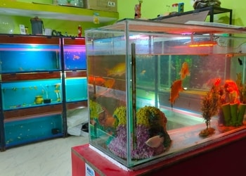 Pari-Fish-and-pet-world-Shopping-Pet-stores-Korba-Chhattisgarh-2