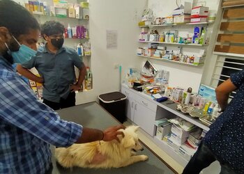 Calicut-Veterinary-Clinic-Health-Veterinary-hospitals-Kozhikode-Kerala-2