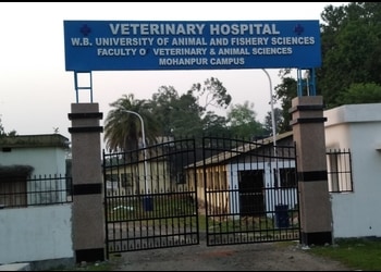 5 Best Veterinary hospitals in Krishnanagar, WB 