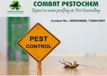 COMBAT-PESTOCHEM-Local-Services-Pest-control-services-Lucknow-Uttar-Pradesh-2