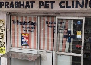 5 Best Veterinary hospitals in Lucknow, UP 