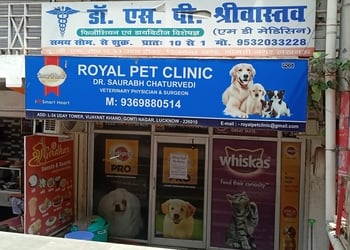 Royal-Pet-Clinic-Health-Veterinary-hospitals-Lucknow-Uttar-Pradesh