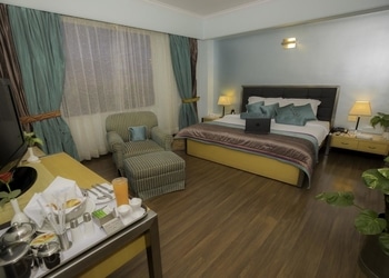 The-Piccadily-Local-Businesses-5-star-hotels-Lucknow-Uttar-Pradesh-2