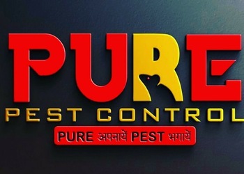 Pure-Pest-Control-Local-Services-Pest-control-services-Ludhiana-Punjab