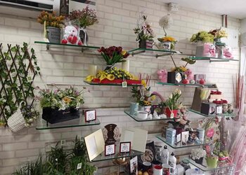 Ferns-N-Petals-Shopping-Flower-Shops-Madurai-Tamil-Nadu-2
