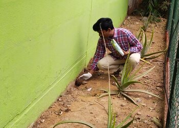 KRV-Pest-Control-Services-Local-Services-Pest-control-services-Madurai-Tamil-Nadu-2