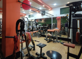 Life-Fitness-Health-Gym-Malda-West-Bengal
