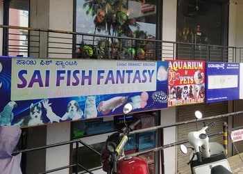 Sai-Fish-Fantasy-Shopping-Pet-stores-Mangalore-Karnataka
