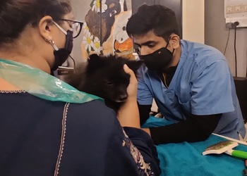 5 Best Veterinary hospitals in Mangalore, KA 
