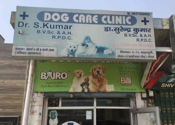 Dog-Care-Clinic-Health-Veterinary-hospitals-Meerut-Uttar-Pradesh