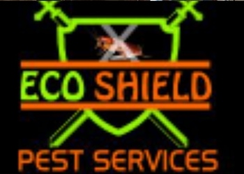 Eco-Shield-Pest-Services-Local-Services-Pest-control-services-Meerut-Uttar-Pradesh