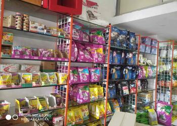 Darnich-Dog-Articles-Shopping-Pet-stores-Mira-Bhayandar-Maharashtra-1