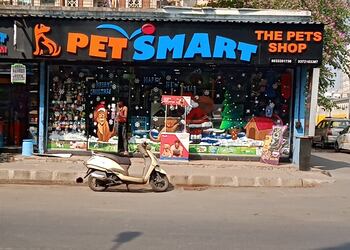 Nemo-Pet-Shop-Shopping-Pet-stores-Mira-Bhayandar-Maharashtra