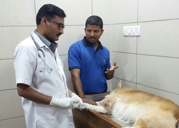 Royal-Pet-Clinic-And-Parlour-Health-Veterinary-hospitals-Mira-Bhayandar-Maharashtra-1