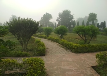 Buddha-Park-Entertainment-Public-parks-Moradabad-Uttar-Pradesh