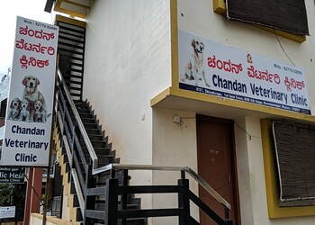 Chandan-Veterinary-Clinic-Health-Veterinary-hospitals-Mysore-Karnataka