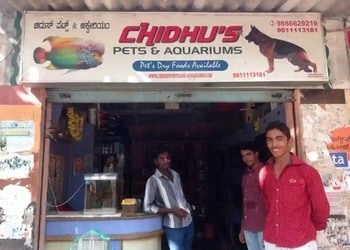 Chidhu-s-pets-And-Aquarium-Shopping-Pet-stores-Mysore-Karnataka