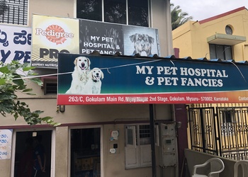 My-Pet-Clinic-Health-Veterinary-hospitals-Mysore-Karnataka