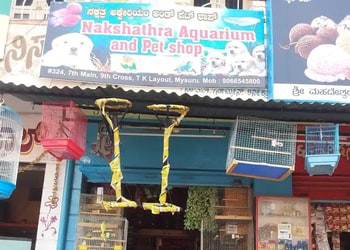 Nakshathra-Aquariums-and-Pets-Shop-Shopping-Pet-stores-Mysore-Karnataka