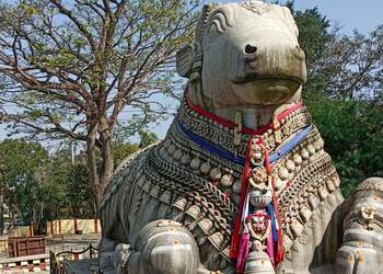 Sri-Nandi-Temple-Entertainment-Temples-Mysore-Karnataka