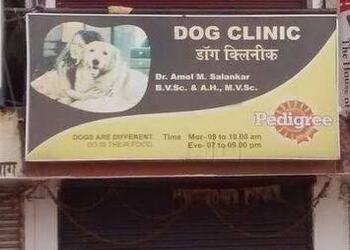 5 Best Veterinary hospitals in Nagpur, MH 