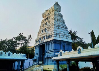 Shri-Balaji-Shri-Karthikeya-Temple-Entertainment-Temples-Nagpur-Maharashtra