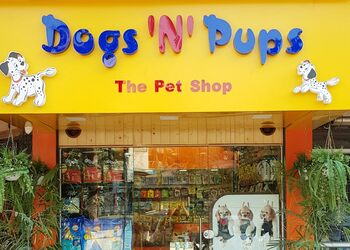 Dogs-N-Pups-Shopping-Pet-stores-Navi-Mumbai-Maharashtra