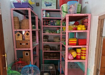 Speed-Pets-Shopping-Pet-stores-Nellore-Andhra-Pradesh-1