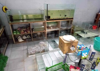Speed-Pets-Shopping-Pet-stores-Nellore-Andhra-Pradesh-2