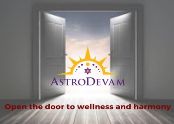 Astro-Devam-Professional-Services-Astrologers-Noida-Uttar-Pradesh
