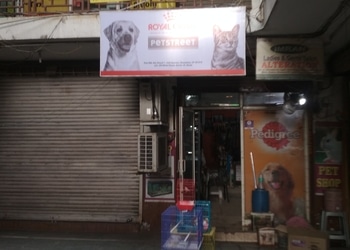 Petstreet-Shopping-Pet-stores-Noida-Uttar-Pradesh