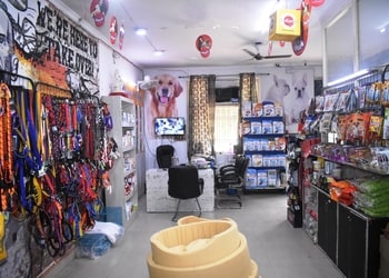 Quality-Pet-Shop-Shopping-Pet-stores-Noida-Uttar-Pradesh-1