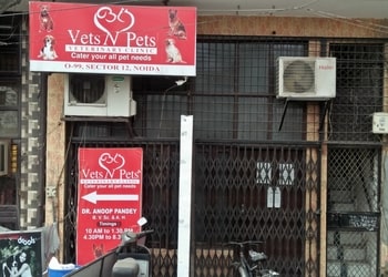Vets-N-Pets-Veterinary-Clinic-Health-Veterinary-hospitals-Noida-Uttar-Pradesh
