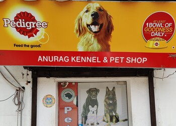 Anurag-Kennel-Pet-Shop-Shopping-Pet-stores-Patna-Bihar
