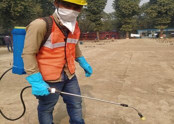 DreamWale-Local-Services-Pest-control-services-Patna-Bihar-2