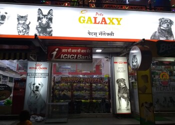 Pets-Galaxy-Shopping-Pet-stores-Pimpri-Chinchwad-Maharashtra
