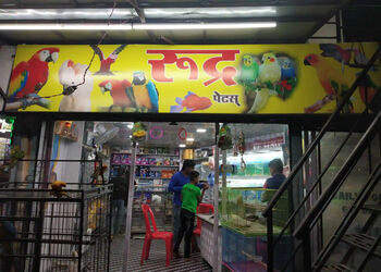 Rudra-Pets-Shopping-Pet-stores-Pimpri-Chinchwad-Maharashtra