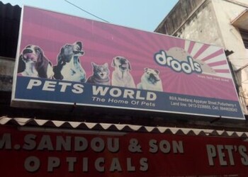 Pets-World-Shopping-Pet-stores-Pondicherry-Puducherry