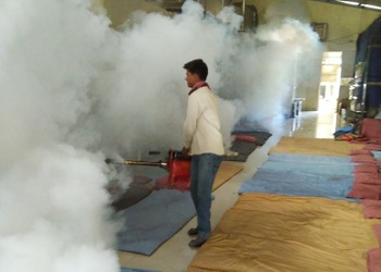 Tej-Pest-Control-Services-Local-Services-Pest-control-services-Pune-Maharashtra-1