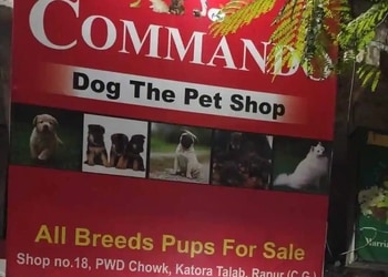Commando-Pet-Shop-Shopping-Pet-stores-Raipur-Chhattisgarh