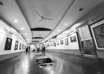 Mahakoshal-Art-Gallery-Entertainment-Art-galleries-Raipur-Chhattisgarh-2