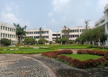 Raipur-Institute-of-Technology-Education-Engineering-colleges-Raipur-Chhattisgarh-2