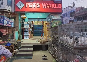 Pets-world-Shekar-s-Shopping-Pet-stores-Rajahmundry-Andhra-Pradesh