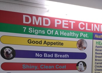DMD-PET-CLINIC-AND-PET-SHOP-Health-Veterinary-hospitals-Ranchi-Jharkhand
