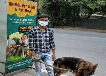 Healthy-Pet-Care-Clinic-Health-Veterinary-hospitals-Ranchi-Jharkhand