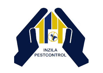 Inzila-Pest-Control-Service-Local-Services-Pest-control-services-Ranchi-Jharkhand
