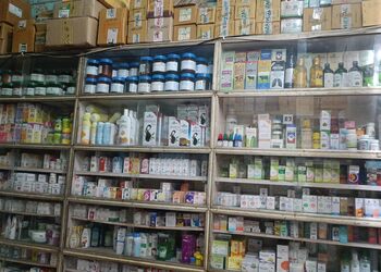 Mittal-Homeopathic-Clinic-Health-Homeopathic-clinics-Rohtak-Haryana