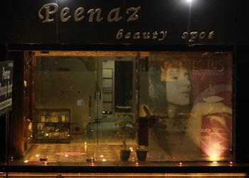 Peenaz-Beauty-Spot-Entertainment-Beauty-parlour-Rohtak-Haryana